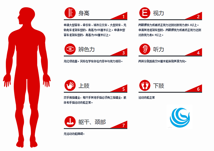 考驾照体检要抽血吗（学车考驾照体检要求）