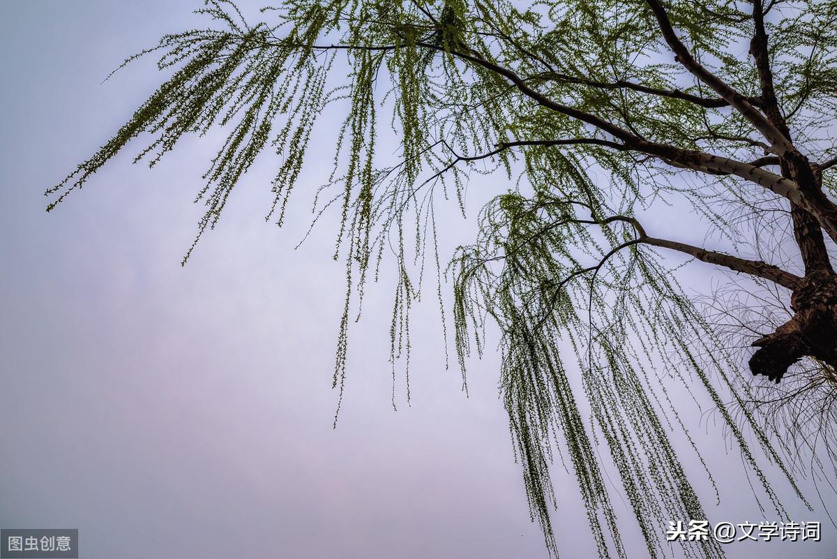 原文和翻译 《望海潮.东南形胜》宋.柳永