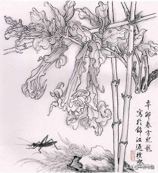 白描花卉画法步骤有哪些