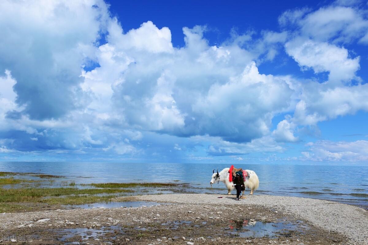 青海湖海拔多少千米（中国第一大湖 青海湖）