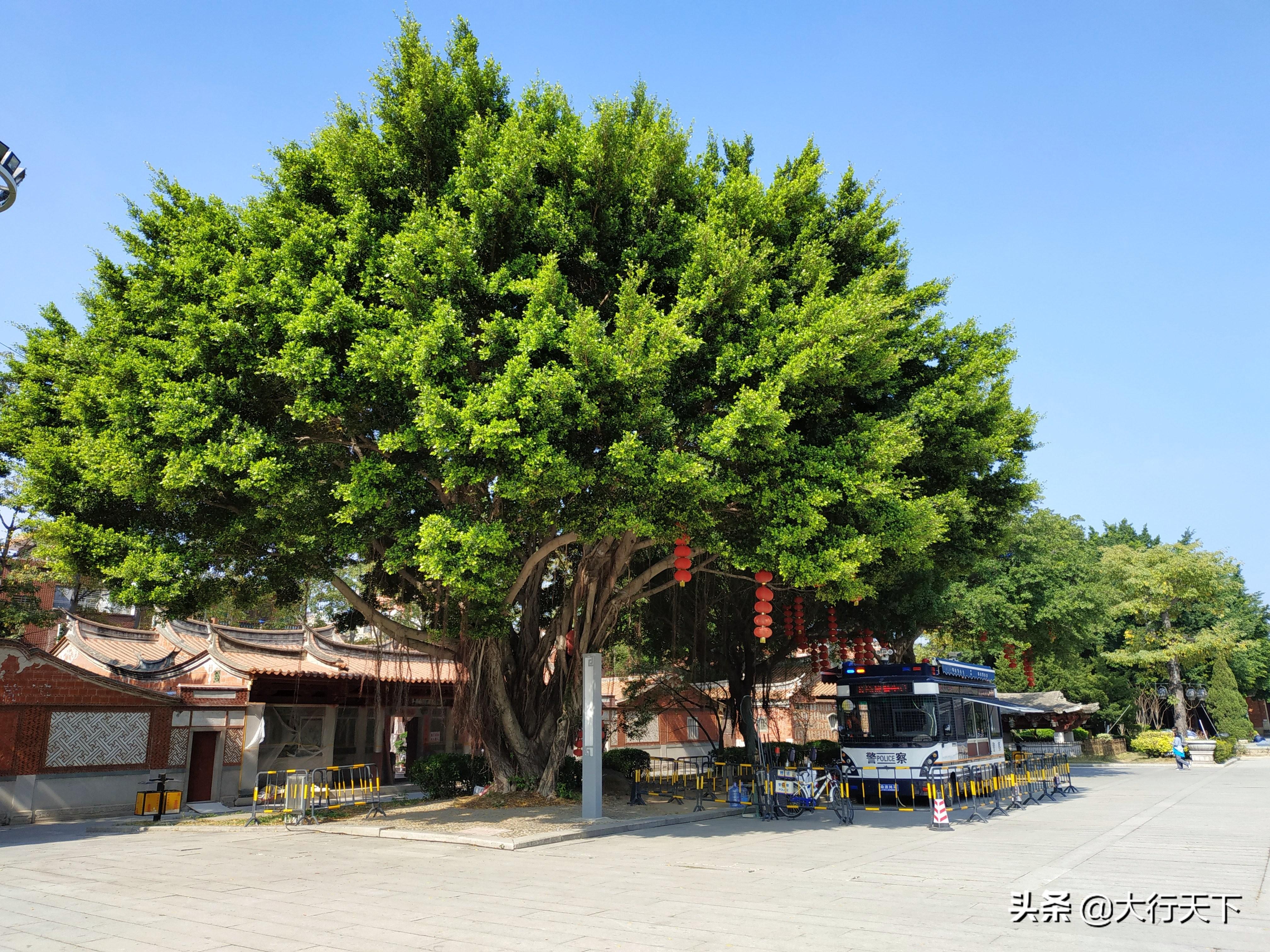 福建省会是哪个市（福建的省会不是厦门而是福州）