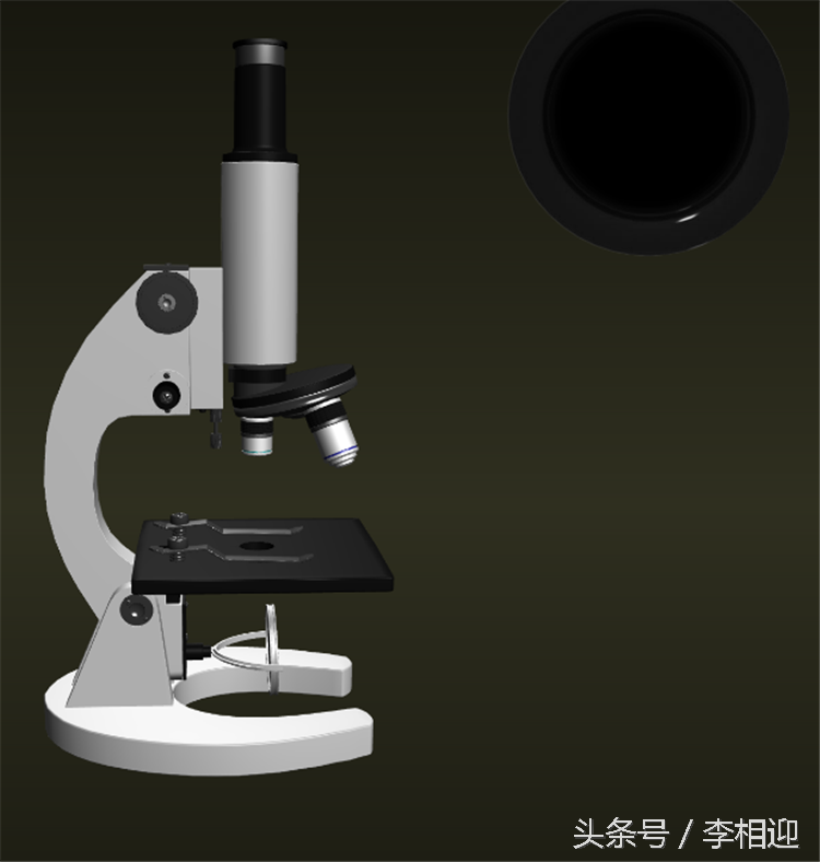 显微镜的使用方法教程（生物显微镜实验教程：操作显微镜）