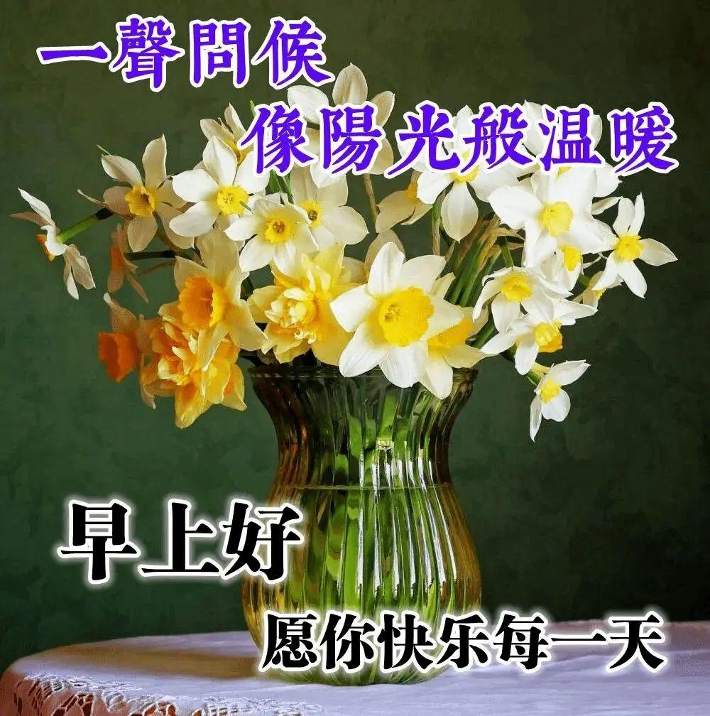 三月七号祝福语（三月初七，最美的祝福送给你）