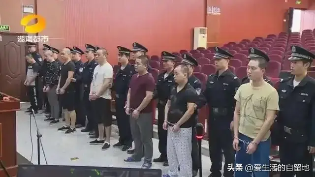 恶势力什么意思（什么是宗族恶势力？）